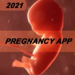 Logo of my pregnancy android Application 