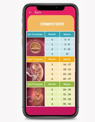 my pregnancy android App screenshot 3